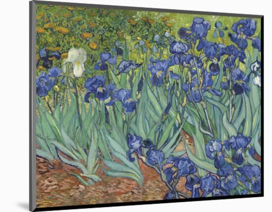 Irises in the Garden-Vincent van Gogh-Mounted Art Print