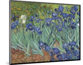 Irises in the Garden-Vincent van Gogh-Mounted Art Print