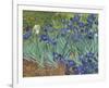 Irises in the Garden-Vincent van Gogh-Framed Art Print