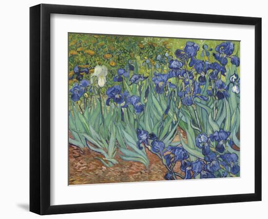 Irises in the Garden-Vincent van Gogh-Framed Giclee Print