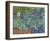 Irises in the Garden-Vincent van Gogh-Framed Giclee Print