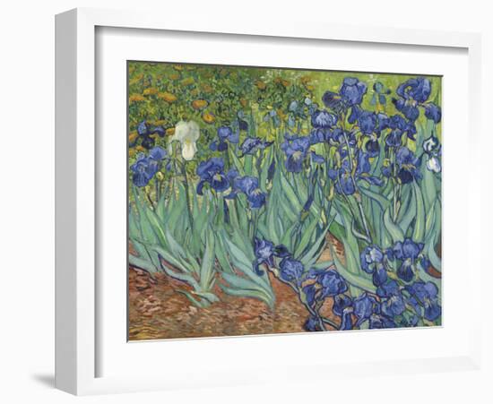 Irises in the Garden-Vincent van Gogh-Framed Giclee Print