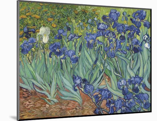 Irises in the Garden-Vincent van Gogh-Mounted Giclee Print