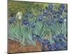 Irises in the Garden-Vincent van Gogh-Mounted Giclee Print