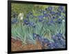 Irises in the Garden-Vincent van Gogh-Framed Giclee Print