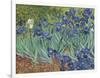 Irises in the Garden-Vincent van Gogh-Framed Giclee Print