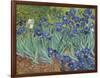 Irises in the Garden-Vincent van Gogh-Framed Giclee Print