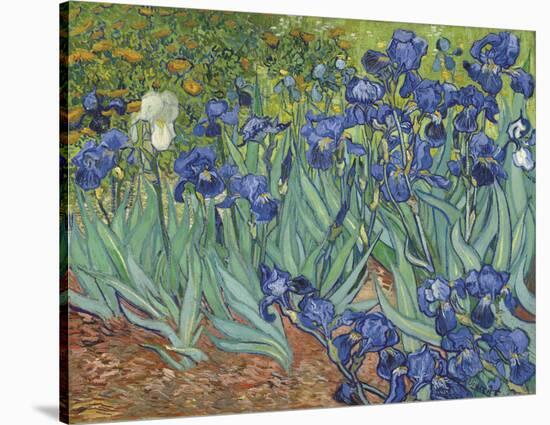 'Irises in the Garden' Stretched Canvas Print - Vincent van Gogh ...