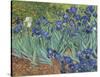 Irises in the Garden-Vincent van Gogh-Stretched Canvas
