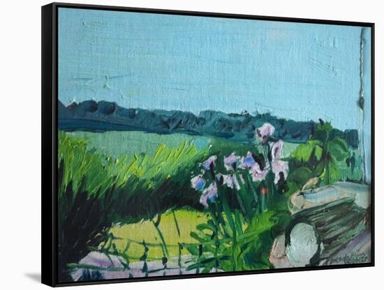 Irises in the Garden-Brenda Brin Booker-Framed Stretched Canvas