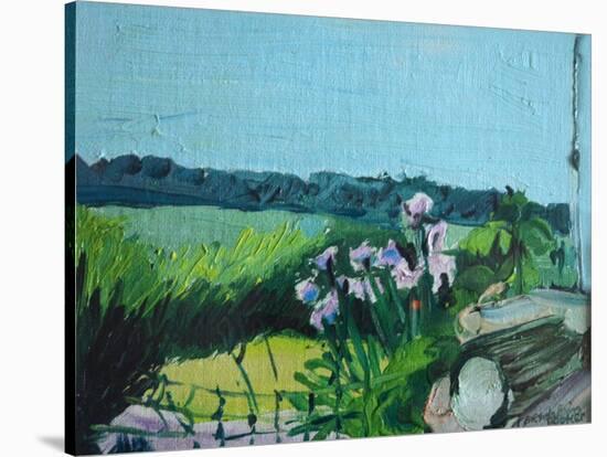 Irises in the Garden-Brenda Brin Booker-Stretched Canvas