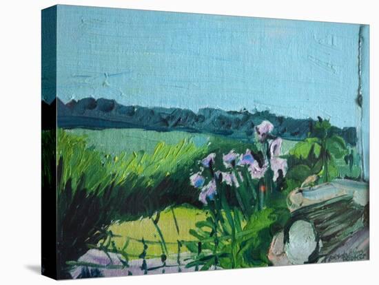 Irises in the Garden-Brenda Brin Booker-Stretched Canvas