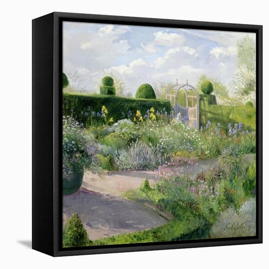 Irises in the Herb Garden, 1995-Timothy Easton-Framed Stretched Canvas