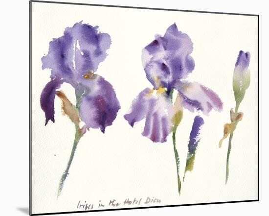 Irises in the Hotel Dieu-Hazel Soan-Mounted Giclee Print