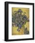 Irises in Vase-Vincent van Gogh-Framed Giclee Print