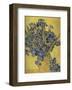 Irises in Vase-Vincent van Gogh-Framed Giclee Print