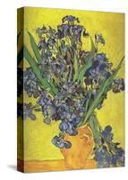 Irises in Vase-Vincent van Gogh-Stretched Canvas