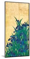 Irises, Japanese-Ogata Korin-Mounted Premium Giclee Print