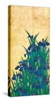 Irises, Japanese-Ogata Korin-Stretched Canvas