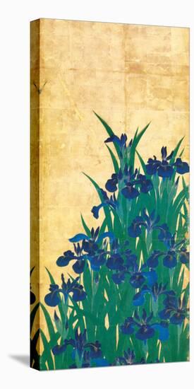 Irises, Japanese-Ogata Korin-Stretched Canvas