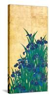 Irises, Japanese-Ogata Korin-Stretched Canvas