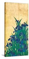 Irises, Japanese-Ogata Korin-Stretched Canvas