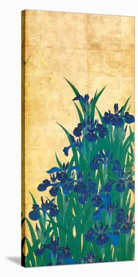 Irises, Japanese-Ogata Korin-Stretched Canvas