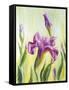 Irises, Oil Painting On Canvas-Valenty-Framed Stretched Canvas