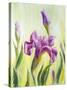 Irises, Oil Painting On Canvas-Valenty-Stretched Canvas