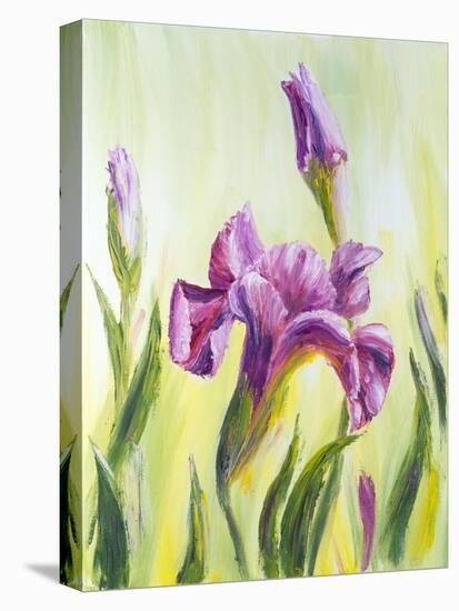 Irises, Oil Painting On Canvas-Valenty-Stretched Canvas