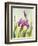 Irises, Oil Painting On Canvas-Valenty-Framed Art Print