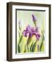 Irises, Oil Painting On Canvas-Valenty-Framed Art Print