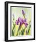 Irises, Oil Painting On Canvas-Valenty-Framed Art Print