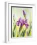 Irises, Oil Painting On Canvas-Valenty-Framed Art Print