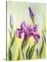Irises, Oil Painting On Canvas-Valenty-Stretched Canvas