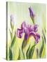 Irises, Oil Painting On Canvas-Valenty-Stretched Canvas