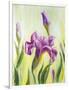 Irises, Oil Painting On Canvas-Valenty-Framed Art Print