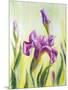 Irises, Oil Painting On Canvas-Valenty-Mounted Art Print