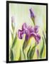 Irises, Oil Painting On Canvas-Valenty-Framed Art Print