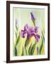 Irises, Oil Painting On Canvas-Valenty-Framed Art Print