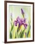 Irises, Oil Painting On Canvas-Valenty-Framed Art Print