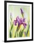 Irises, Oil Painting On Canvas-Valenty-Framed Art Print