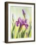 Irises, Oil Painting On Canvas-Valenty-Framed Art Print