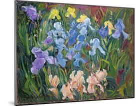 Irises: Pink, Blue and Gold, 1993-Timothy Easton-Mounted Giclee Print
