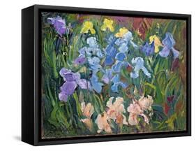 Irises: Pink, Blue and Gold, 1993-Timothy Easton-Framed Stretched Canvas