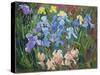 Irises: Pink, Blue and Gold, 1993-Timothy Easton-Stretched Canvas