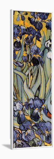 Irises, Saint-Remy, c.1889 (detail)-Vincent van Gogh-Framed Poster