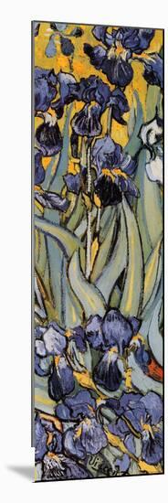 Irises, Saint-Remy, c.1889 (detail)-Vincent van Gogh-Mounted Poster