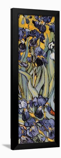 Irises, Saint-Remy, c.1889 (detail)-Vincent van Gogh-Framed Poster