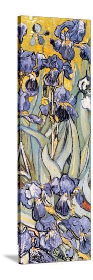 Irises, Saint-Remy, c.1889 (detail)-Vincent van Gogh-Stretched Canvas